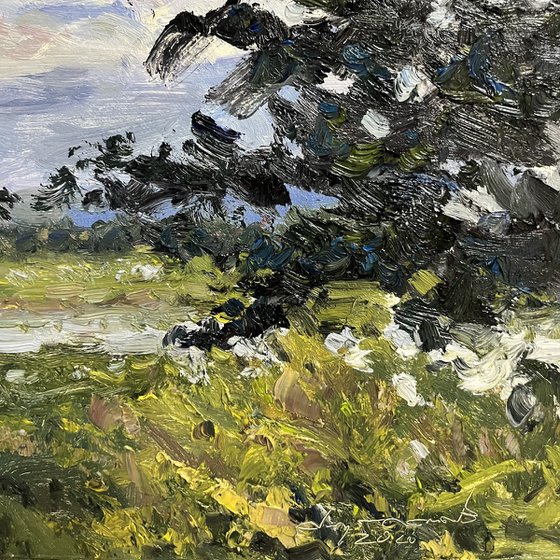 Freedom of Rain Clouds