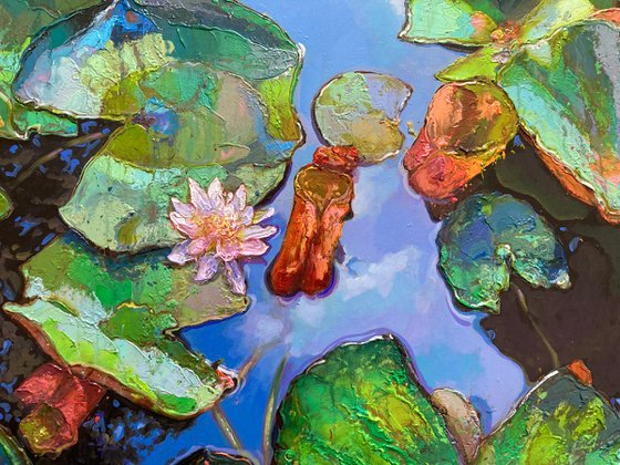 Water Lilies