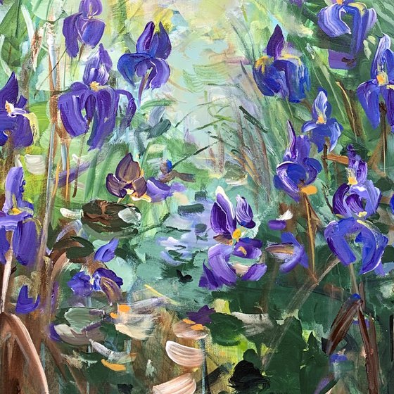 Blue irises