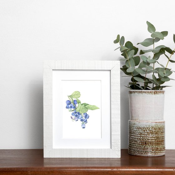 Blueberry branch Watercolor