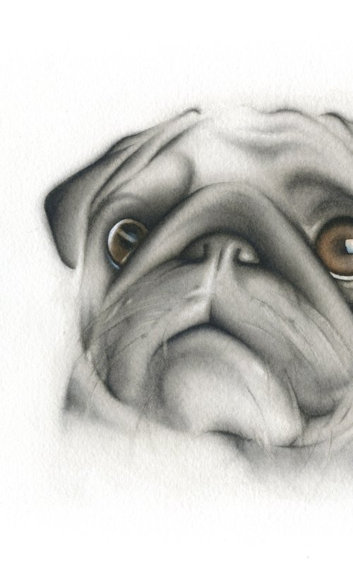 They See Something That We Don't II - Pug watercolor painting by ieva Janu