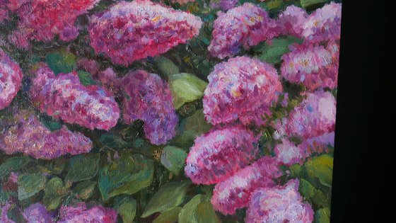 The Sunny Lilac Bush