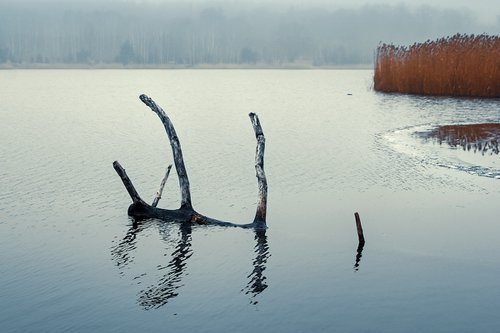Quiet lake. by Valerix