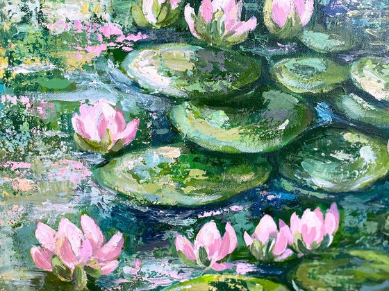 Lilly pond no6