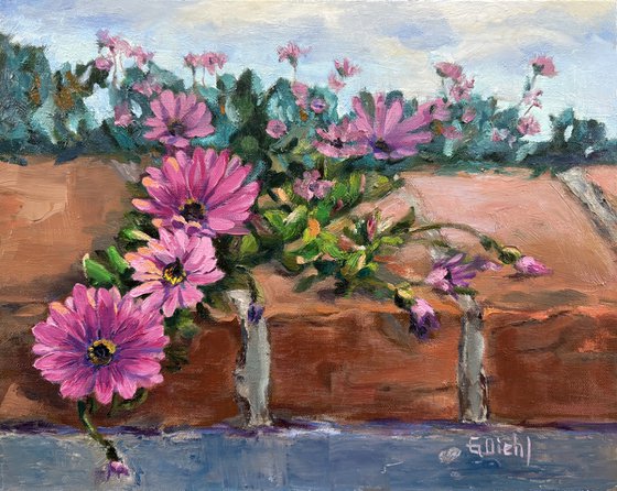 Ice Plants