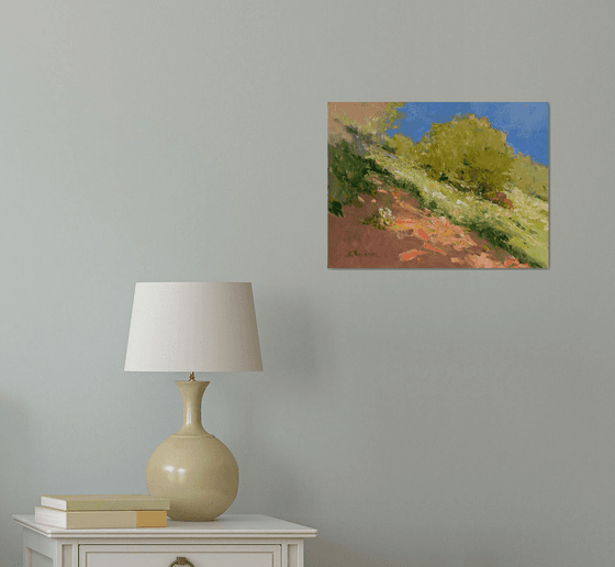 Summer Meadow. HIllside