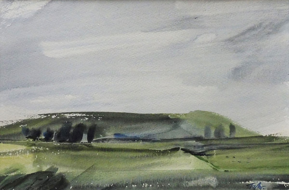 SUMMER 2022, WATERCOLOUR SKETCH / STUDY, ANGLESEY, near Cemlyn Bay. by Tim Taylor