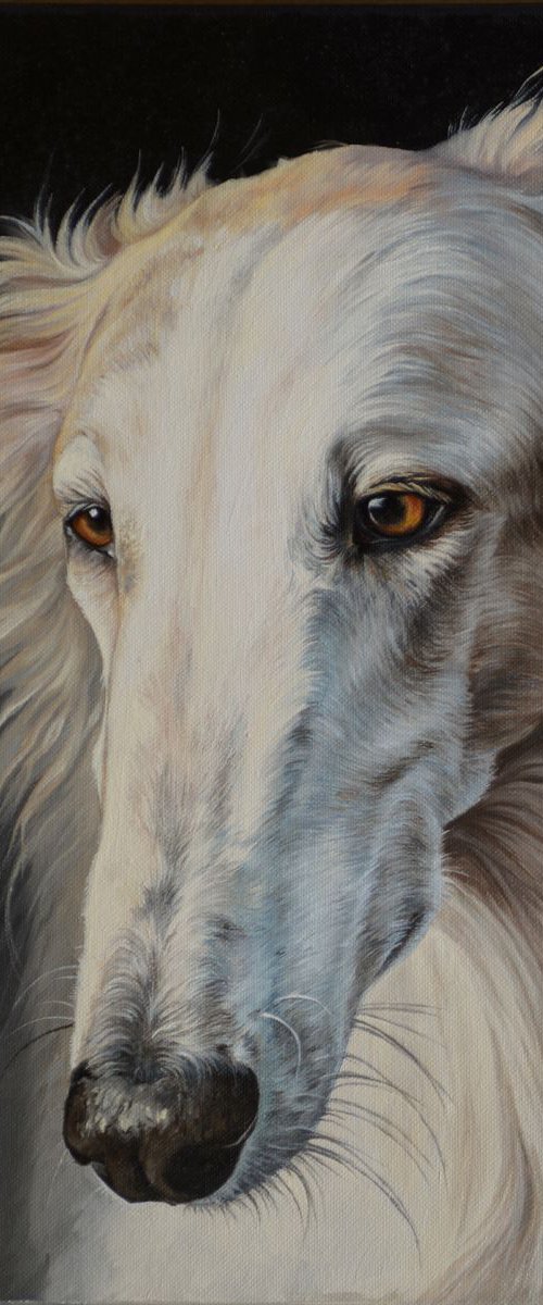 Russian wolfhound by Olga Tsvetkova