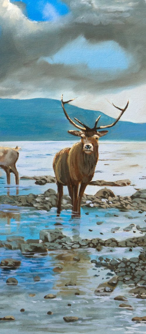 Deer Family at Loch Ness by Gordon Bruce