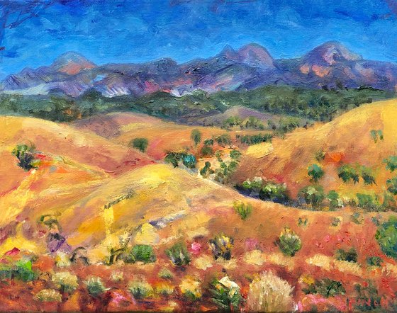 LANDSCAPE - FLINDERS RANGES