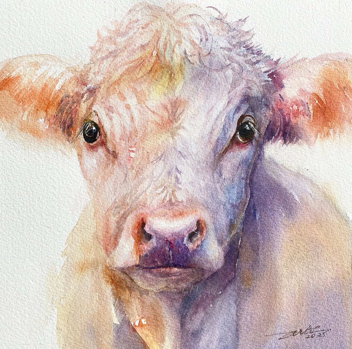 Arti Chauhan | Original  Watercolour | Lilac And Amber_Cow | 20 X 20Cm | Artwork For Sale On Artfinder