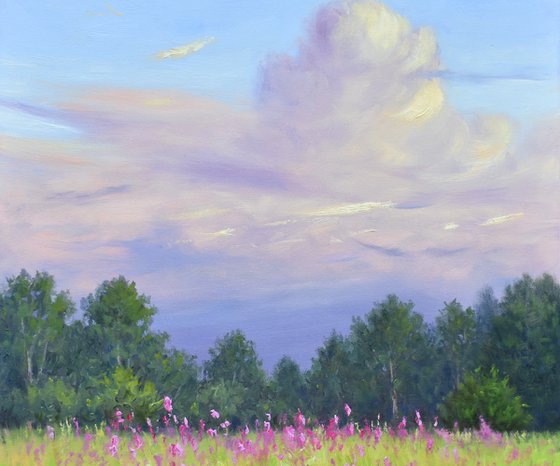 Soft Cloud