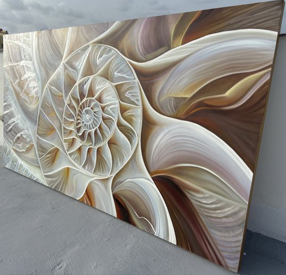 NAUTILUS POMPILIUS (VI)