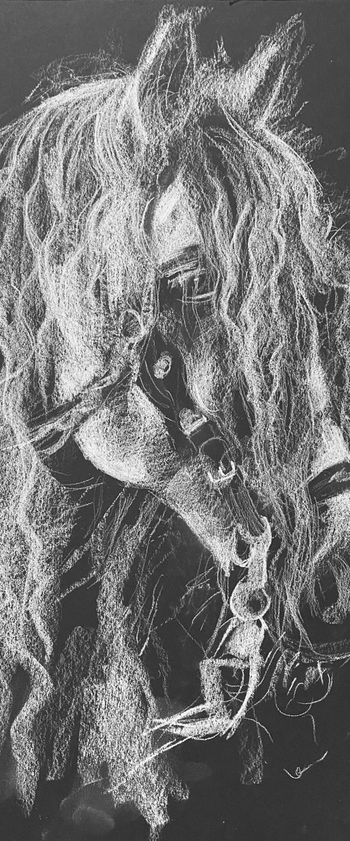 Horse's head IV by Olga Bolgar