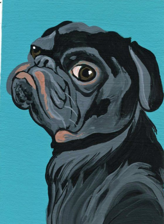 ACEO ATC Original Miniature Painting Black Pug Pet Dog Art-Carla Smale
