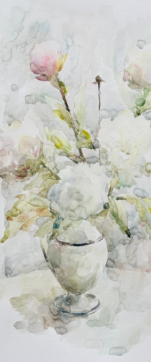 White peonies 19,7 x 25,6 in by Elena Klyan