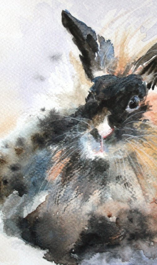 Bunny II - Animal portrait /  ORIGINAL PAINTING by Salana Art Gallery