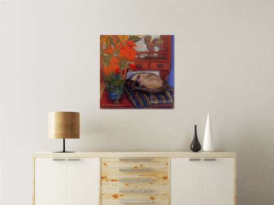 Bob the cat on the dresser