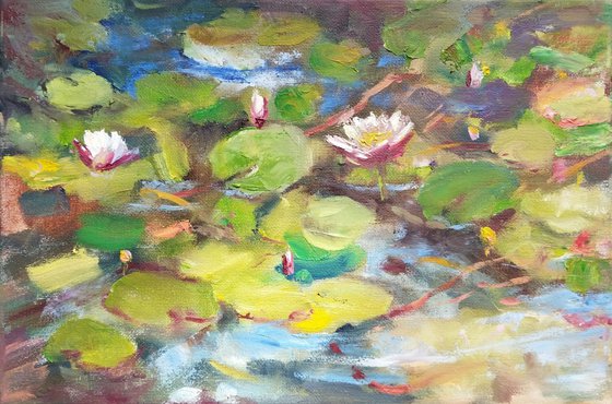 Water Lilies