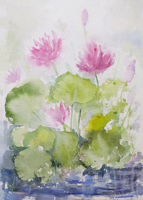 Misty water lilies in the garden- 2 by Asha Shenoy