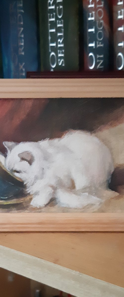 cat by Viktória Déri