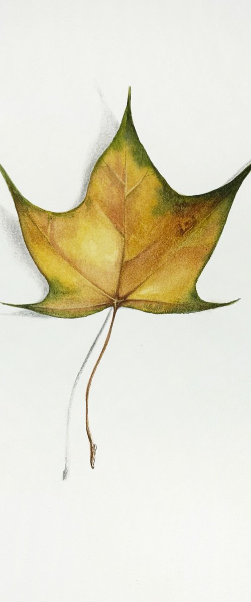 Autumn mood #2 by Julia Gorislavska