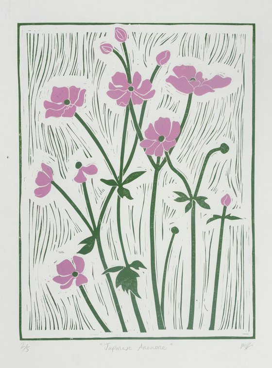 Japanese Anemone