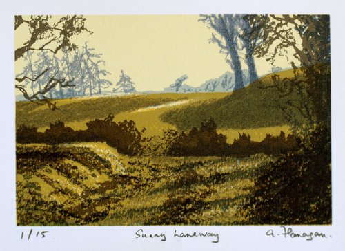 Sunny Laneway by Aidan Flanagan Irish Landscapes