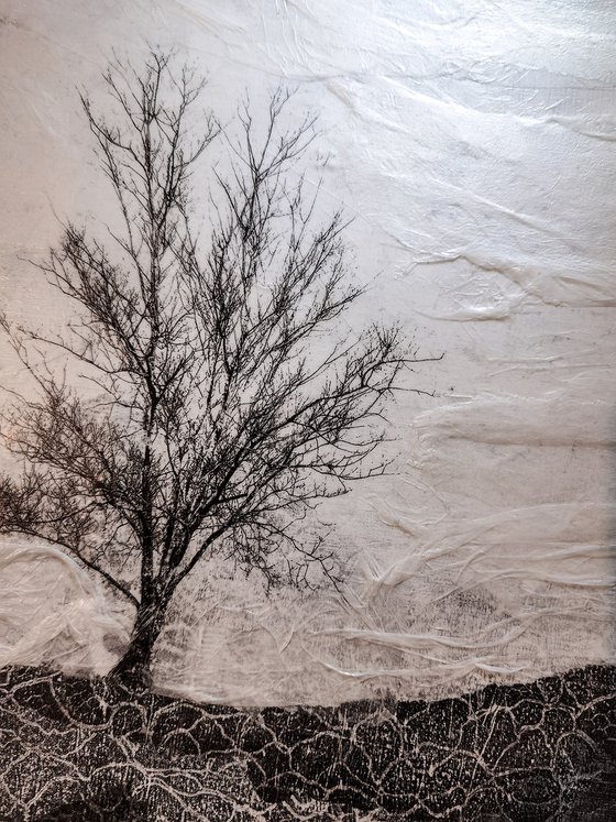 Solitary