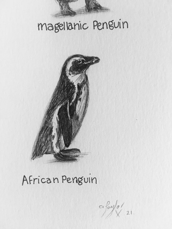 “Penguins”