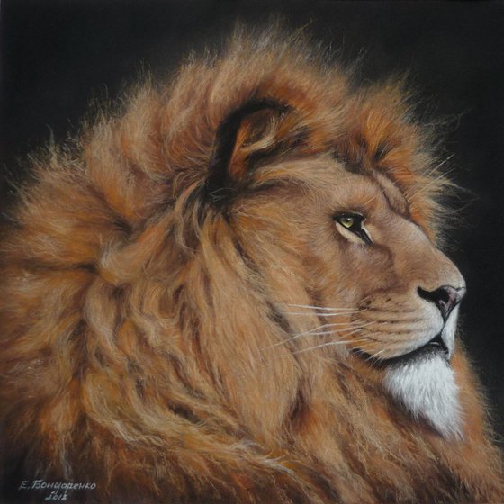 Lion. Original Pastel Portrait