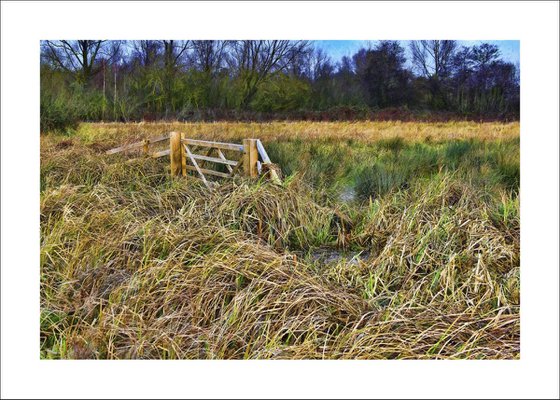 The Gate in the Grass