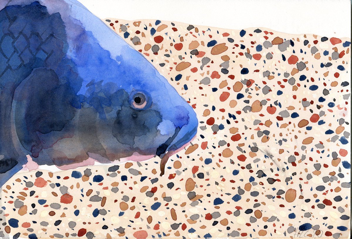 Blue Fish by Hannah Clark