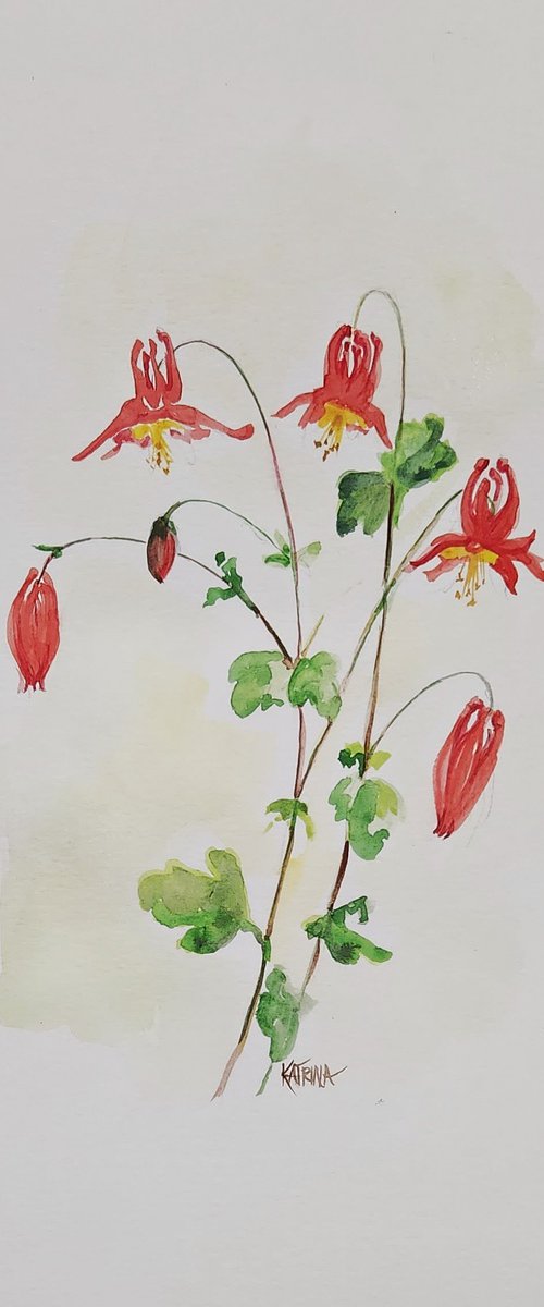 "Wild Columbine" - Wildflower by Katrina Case