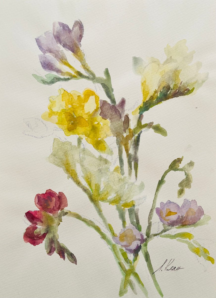 Impressionistic Watercolour , Freesia 2023 By Elena Klyan, 8 X 11, Artwork For Sale On Artfinder