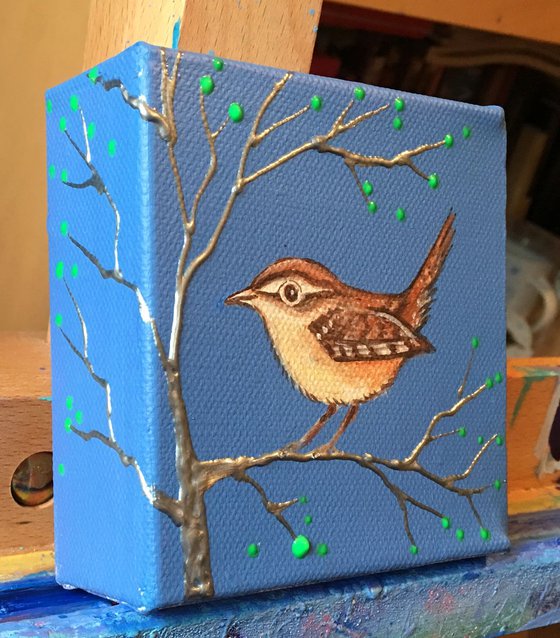 Wren with spring buds