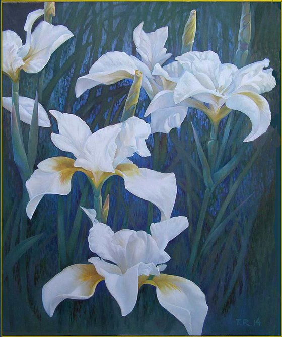 White Irises