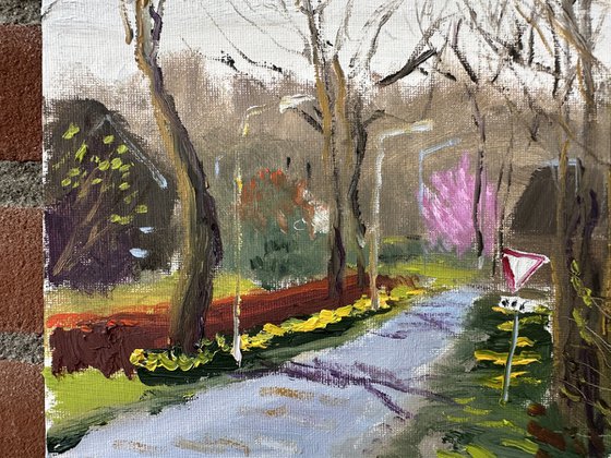 Early March Awakening