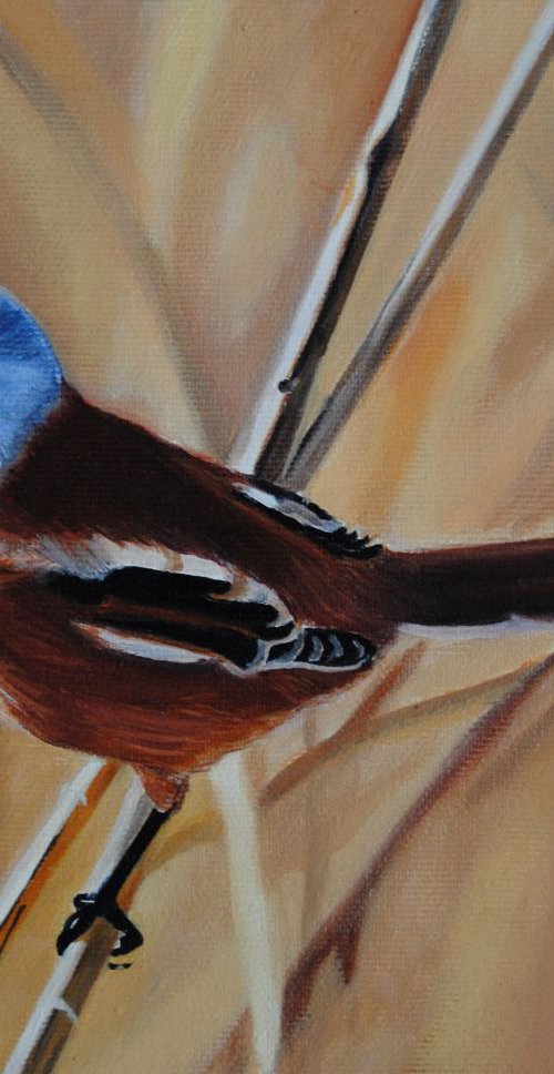 COLORED BIRD by Simona Tsvetkova