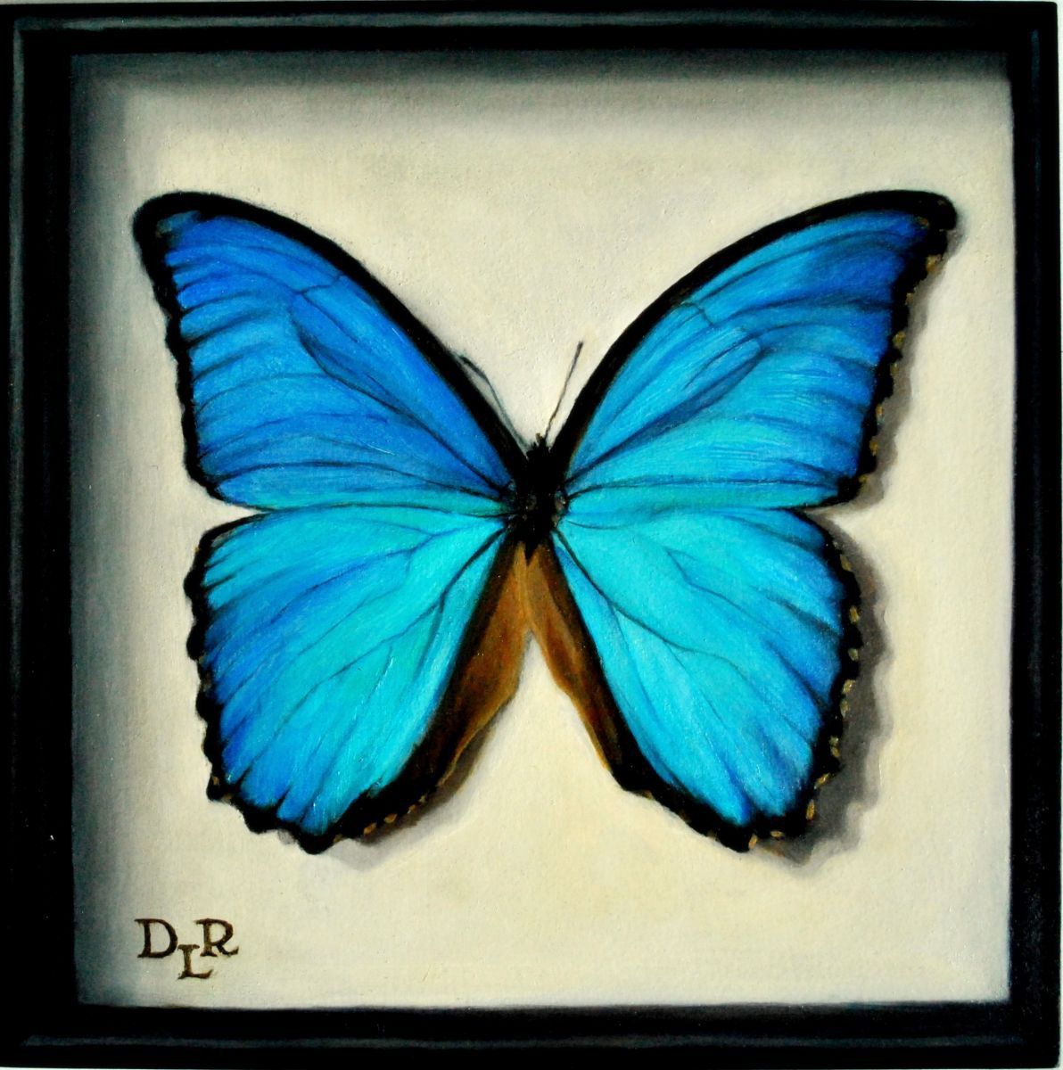 Photorealistic Animal Oil Painting By Daniela Roughsedge, 8 X 8, Blue Morpho, Original Artwork