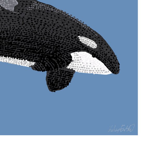 Killer whale - Stippling Illustration