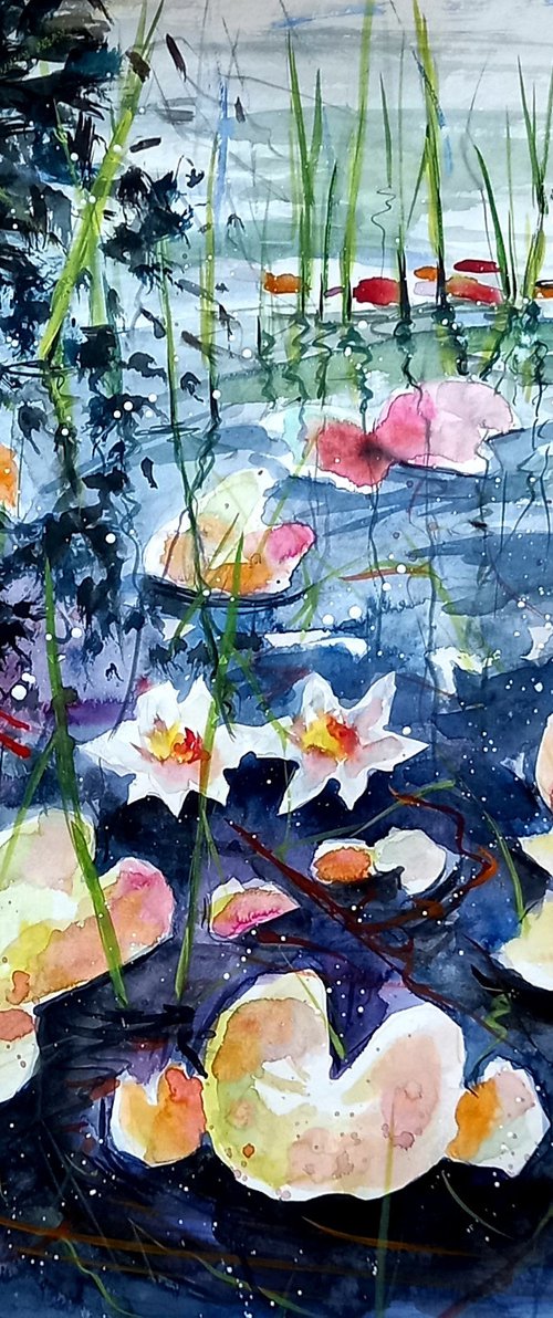Water lilies III by Kovács Anna Brigitta