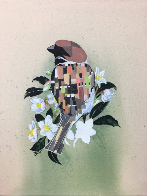 Helleborus niger - Relieve my anxiety by Haejin Yoo
