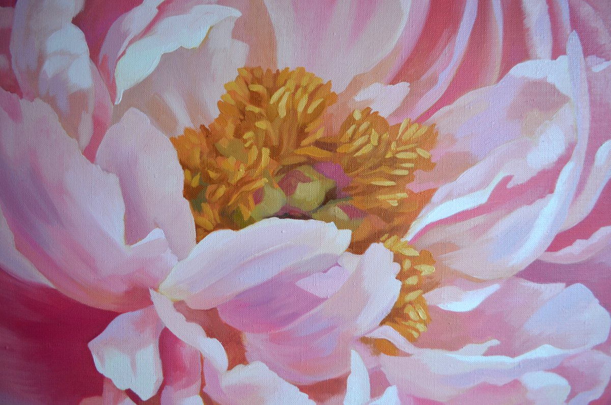 Pink Peonies large bloom 100x100 cm oil painting Peony flower Living ...