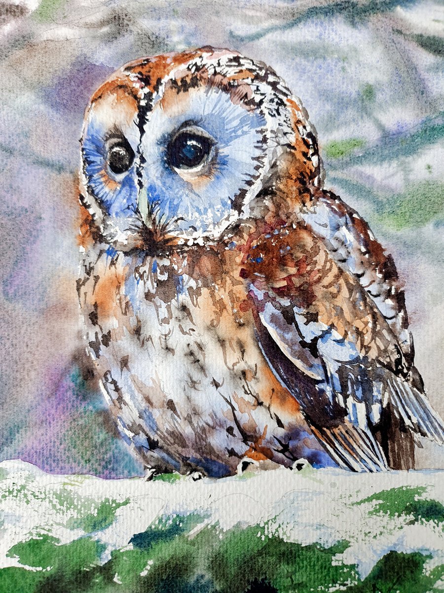 Photorealistic Animal Watercolour By Sonata Art, 12 X 16", Mysterious Owl Gaze, Original Artwork