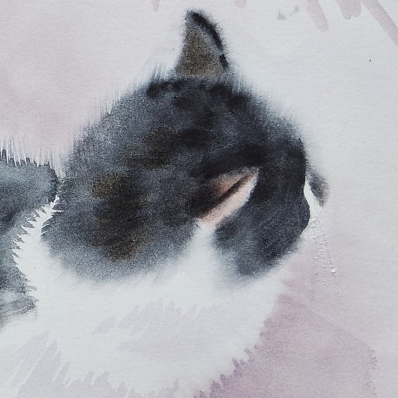 Black and White Cat in Watercolor Animal Pets Painting