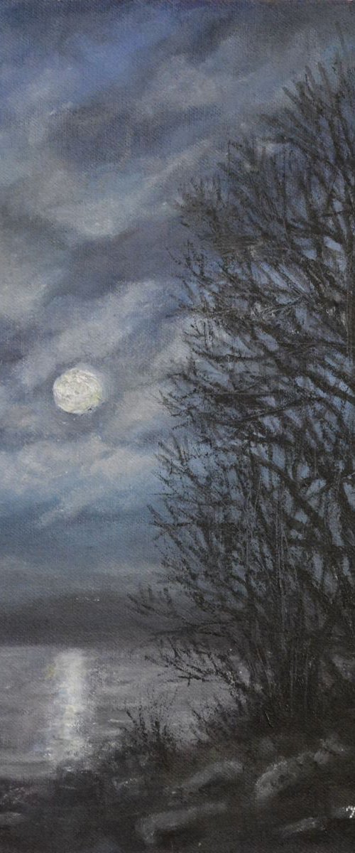 December Moonlight by Kathleen McDermott