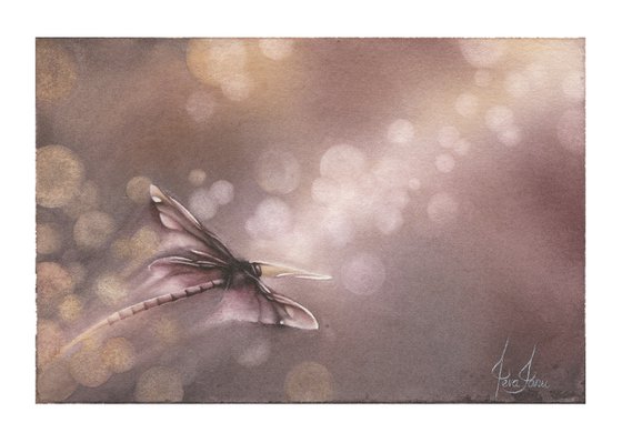 Glimpse XII - Sunset Dragonfly Watercolor Painting