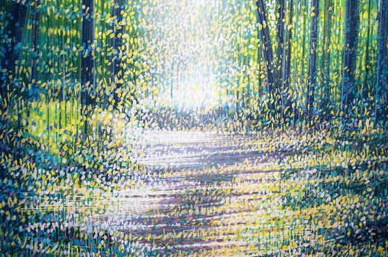 Spring Forest Trees
