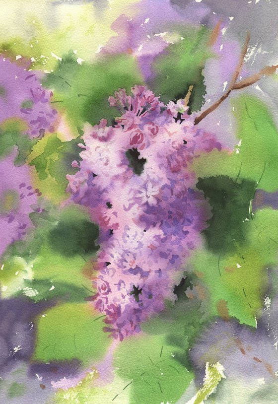 Ukrainian watercolour. Lilac